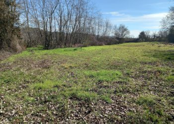 Foto 5 - Agricultural land Via del cormercio, Casciana Terme Lari - photo 5