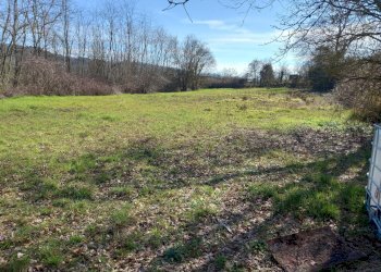 Foto 6 - Agricultural land Via del cormercio, Casciana Terme Lari - photo 6