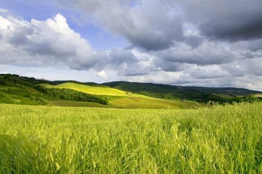 Foto 2 - Casa indipendente via volterrana, Palaia - foto 2