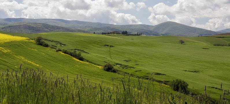 Foto 3 - Casa indipendente via volterrana, Palaia - foto 3