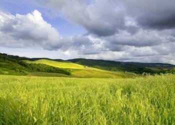 Foto 2 - Casa indipendente via volterrana, Palaia - foto 2
