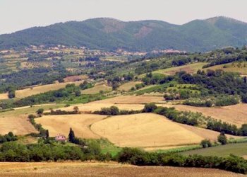 Foto 4 - Casa indipendente via volterrana, Palaia - foto 4