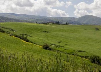 Foto 10 - Casa indipendente via volterrana, Palaia - foto 10