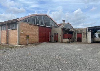 Foto 2 - Attività Commerciale via volterrana
 
12, Terricciola - foto 2