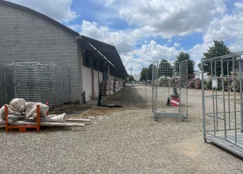 Foto 4 - Attività Commerciale volterrana
 
25, Terricciola - foto 4