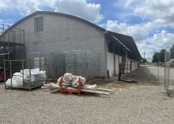 Foto 5 - Attività Commerciale volterrana
 
25, Terricciola - foto 5