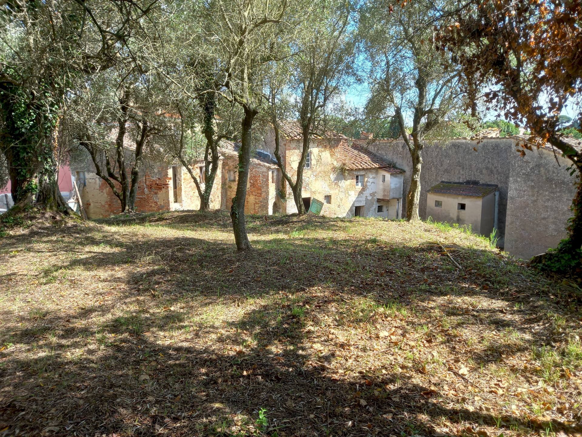 Foto 3 - Casa indipendente Via Bugallo, Crespina Lorenzana - foto 3