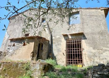 Foto 3 - Casa indipendente Viale Giacomo matteotti, Vicopisano - foto 3