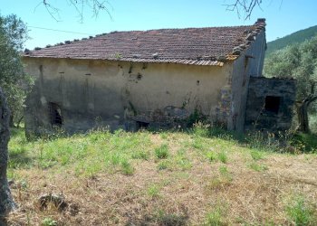 Foto 4 - Casa indipendente Viale Giacomo matteotti, Vicopisano - foto 4