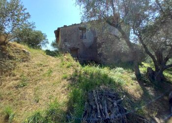 Foto 6 - Casa indipendente Viale Giacomo matteotti, Vicopisano - foto 6