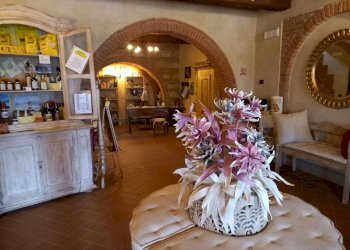 Foto 7 - Bilocale Via Cesare Battista, Crespina Lorenzana - foto 7