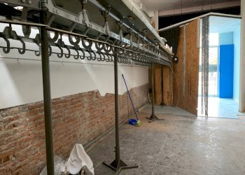 Foto 9 - Attività Commerciale via nazionale, Lucca - foto 9