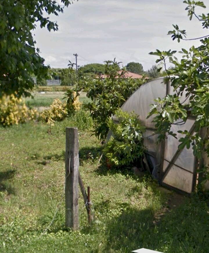 Foto 2 - Terreno agricolo via dei Filaracci, Massarosa - foto 2