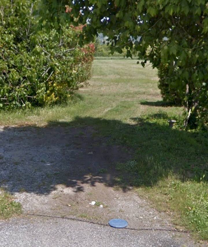 Foto 3 - Terreno agricolo via dei Filaracci, Massarosa - foto 3