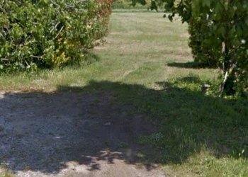 Foto 3 - Terreno agricolo via dei Filaracci, Massarosa - foto 3