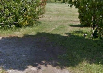 Foto 7 - Terreno agricolo via dei Filaracci, Massarosa - foto 7