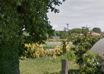 Foto 10 - Terreno agricolo via dei Filaracci, Massarosa - foto 10