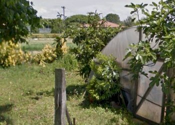 Foto 12 - Terreno agricolo via dei Filaracci, Massarosa - foto 12