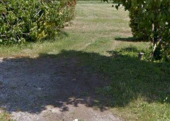 Foto 13 - Terreno agricolo via dei Filaracci, Massarosa - foto 13