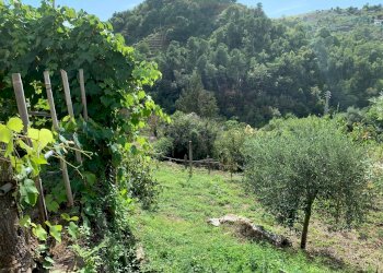 Foto 42 - Casa indipendente Via Cerro Grosso
 
20, Pietrasanta - foto 42