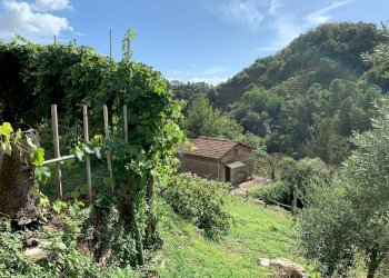 Foto 44 - Casa indipendente Via Cerro Grosso
 
20, Pietrasanta - foto 44