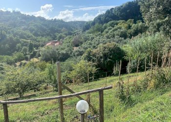 Foto 46 - Casa indipendente Via Cerro Grosso
 
20, Pietrasanta - foto 46