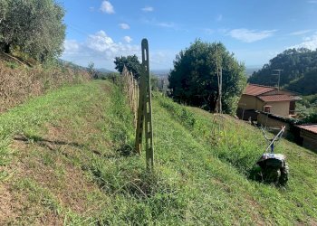 Foto 47 - Casa indipendente Via Cerro Grosso
 
20, Pietrasanta - foto 47