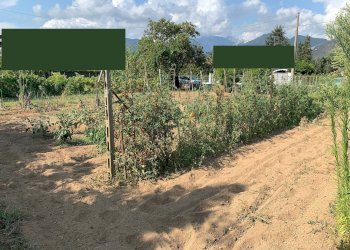 Foto 5 - Terreno edificabile Via Pisanica, Pietrasanta - foto 5