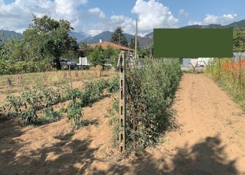 Foto 6 - Terreno edificabile Via Pisanica, Pietrasanta - foto 6