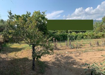 Foto 7 - Terreno edificabile Via Pisanica, Pietrasanta - foto 7