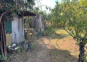 Foto 8 - Terreno edificabile Via Pisanica, Pietrasanta - foto 8