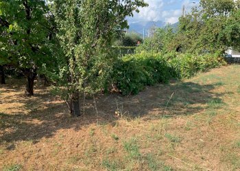 Foto 12 - Terreno edificabile Via Pisanica, Pietrasanta - foto 12