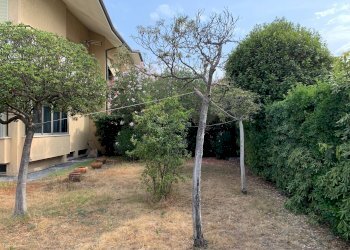 Foto 4 - Casa indipendente Via Ugo Foscolo, Pietrasanta - foto 4