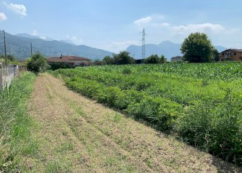 Foto 3 - Terreno agricolo Via Del Lago Pietrasanta, Pietrasanta - foto 3