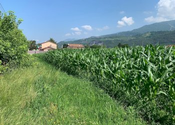 Foto 8 - Terreno agricolo Via Del Lago Pietrasanta, Pietrasanta - foto 8