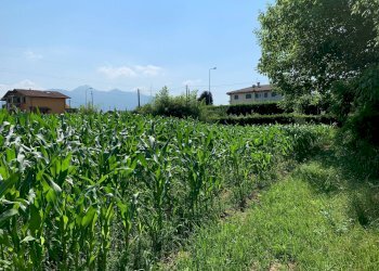 Foto 9 - Terreno agricolo Via Del Lago Pietrasanta, Pietrasanta - foto 9