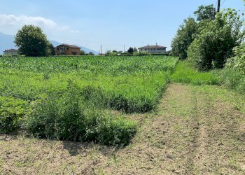 Foto 11 - Terreno agricolo Via Del Lago Pietrasanta, Pietrasanta - foto 11