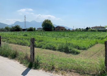 Foto 12 - Terreno agricolo Via Del Lago Pietrasanta, Pietrasanta - foto 12