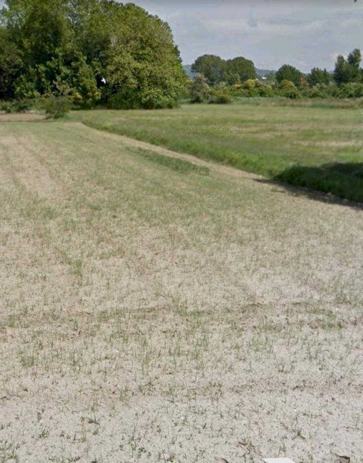 Foto 1 - Agricultural land via fratelli rosselli, Camaiore - photo 1