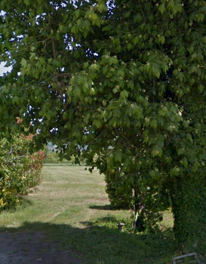 Foto 1 - Agricultural land via fratelli rosselli, Camaiore - photo 1