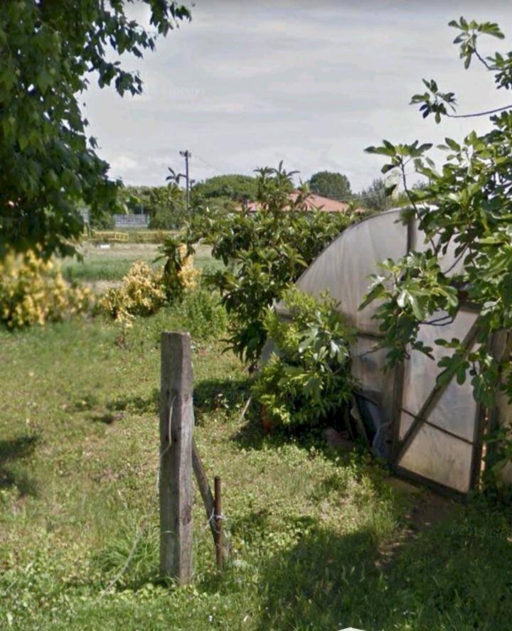 Foto 3 - Agricultural land via fratelli rosselli, Camaiore - photo 3