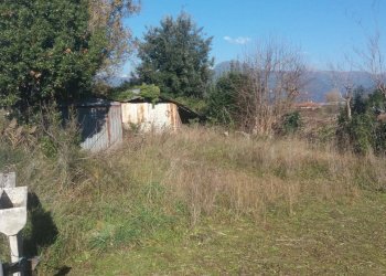 Foto 5 - Agricultural land via fratelli rosselli, Camaiore - photo 5