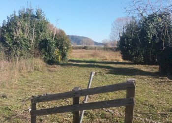 Foto 10 - Agricultural land via fratelli rosselli, Camaiore - photo 10