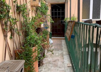 Foto 3 - Appartamento Via Stagio Stagi
 
75, Pietrasanta - foto 3