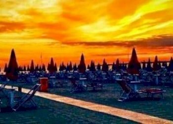 Foto 2 - Attività Commerciale viale Pistelli, Camaiore - foto 2