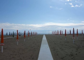 Foto 3 - Attività Commerciale viale Pistelli, Camaiore - foto 3