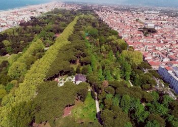 Foto 15 - Attività Commerciale viale Pistelli, Camaiore - foto 15