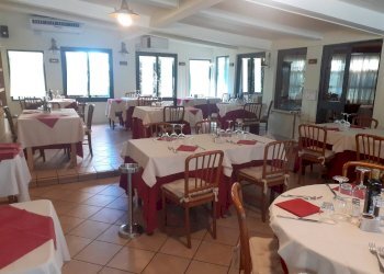 Foto 2 - Attività Commerciale Via Catalani, Viareggio - foto 2