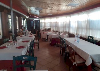 Foto 6 - Attività Commerciale Via Catalani, Viareggio - foto 6