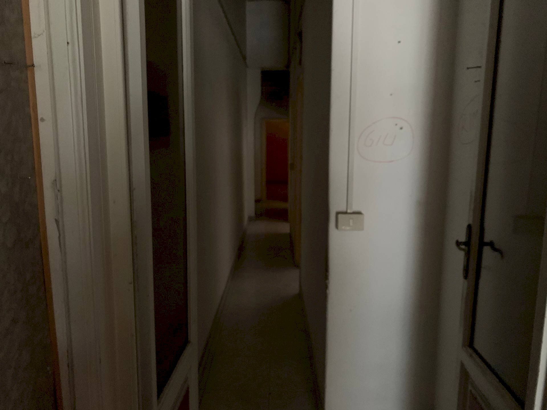 Foto 3 - Attività Commerciale Via Giuseppe Zanardelli, Viareggio - foto 3